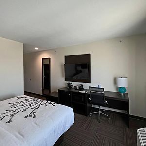 King Room Disability Access or Non Smoking